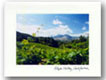 napa valley notecards